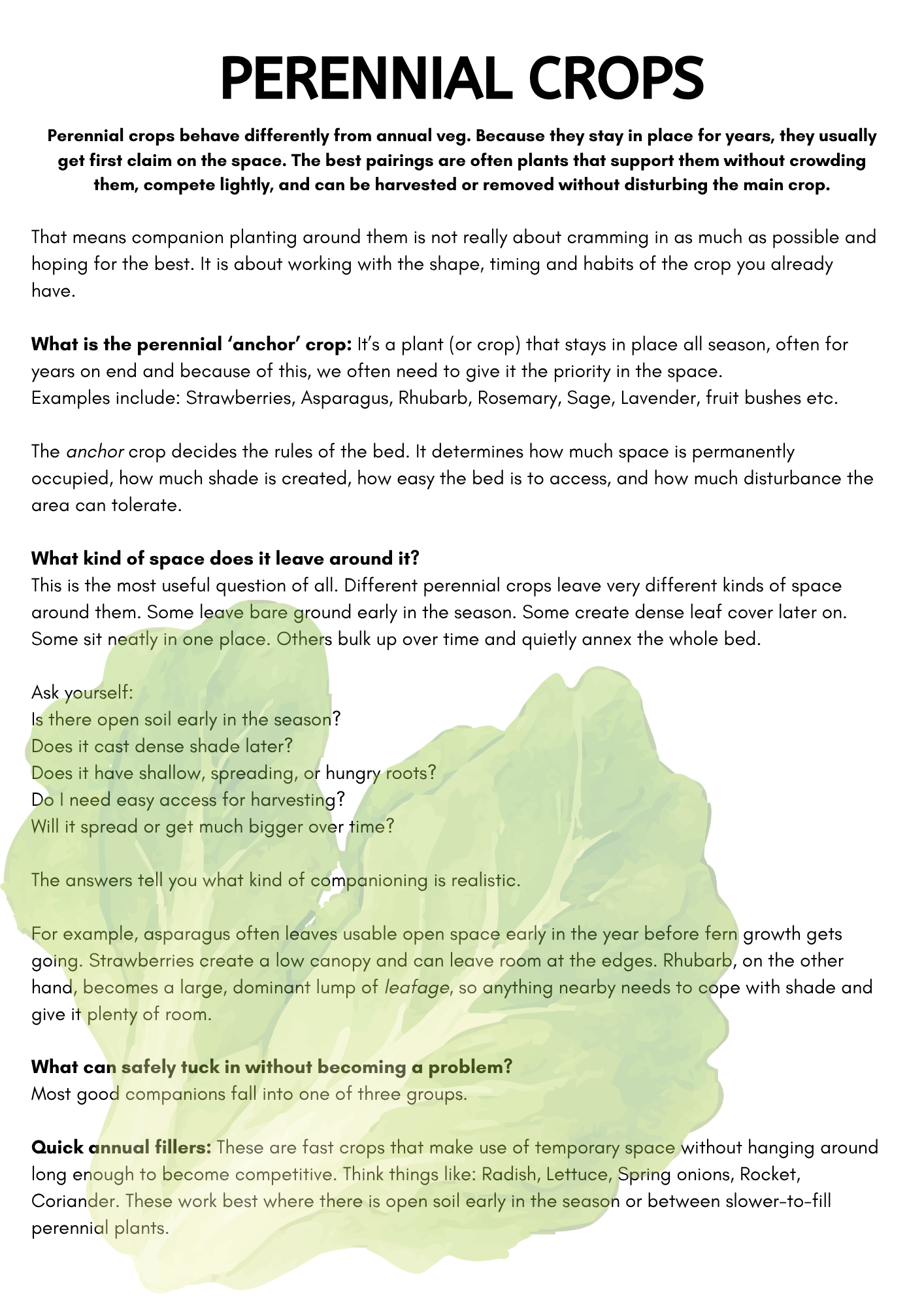 BED LAYOUT TEMPLATES PDF Guide: Companion Planting UK | Plug-and-Play Vegetable Bed Plans for Raised Beds and Allotments