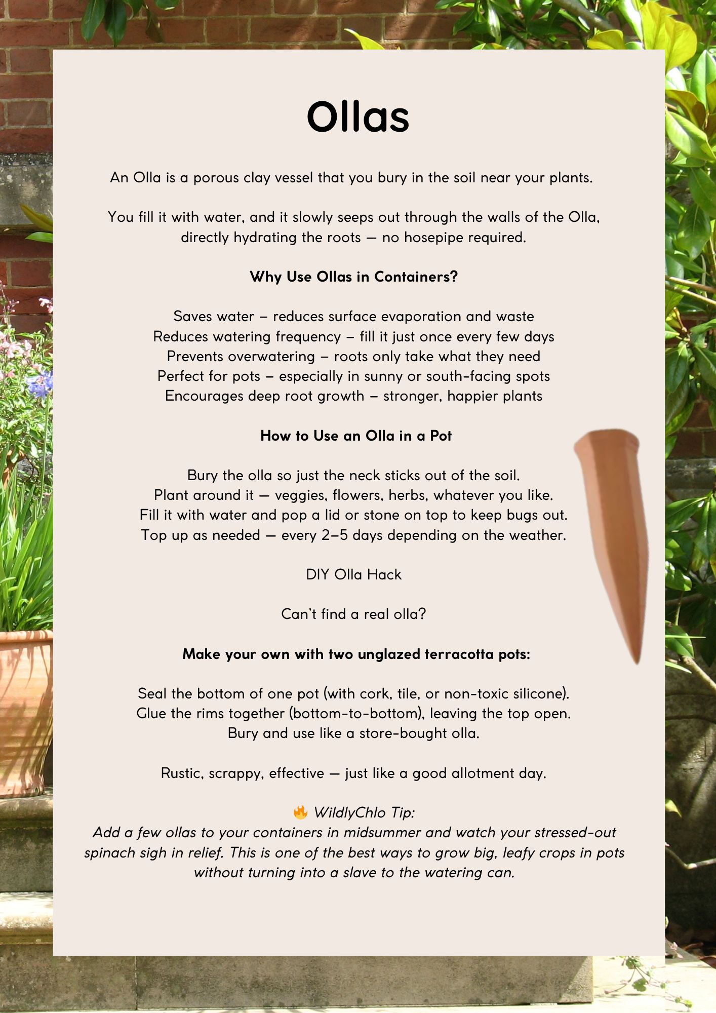 Grow in pots - watering - ollas
