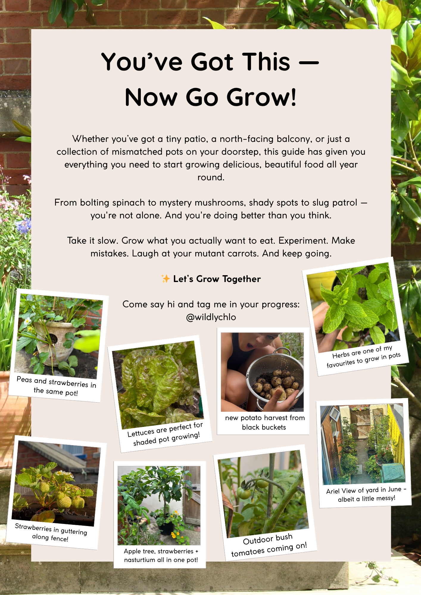 examples of things you can grow in pots uk shaded coastal
