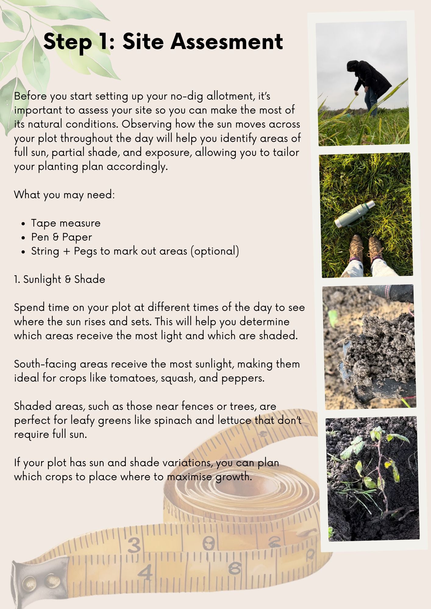 The No-Dig Allotment Blueprint: A Beginners Guide To Transforming An Overgrown Space into a Thriving Vegetable Plot