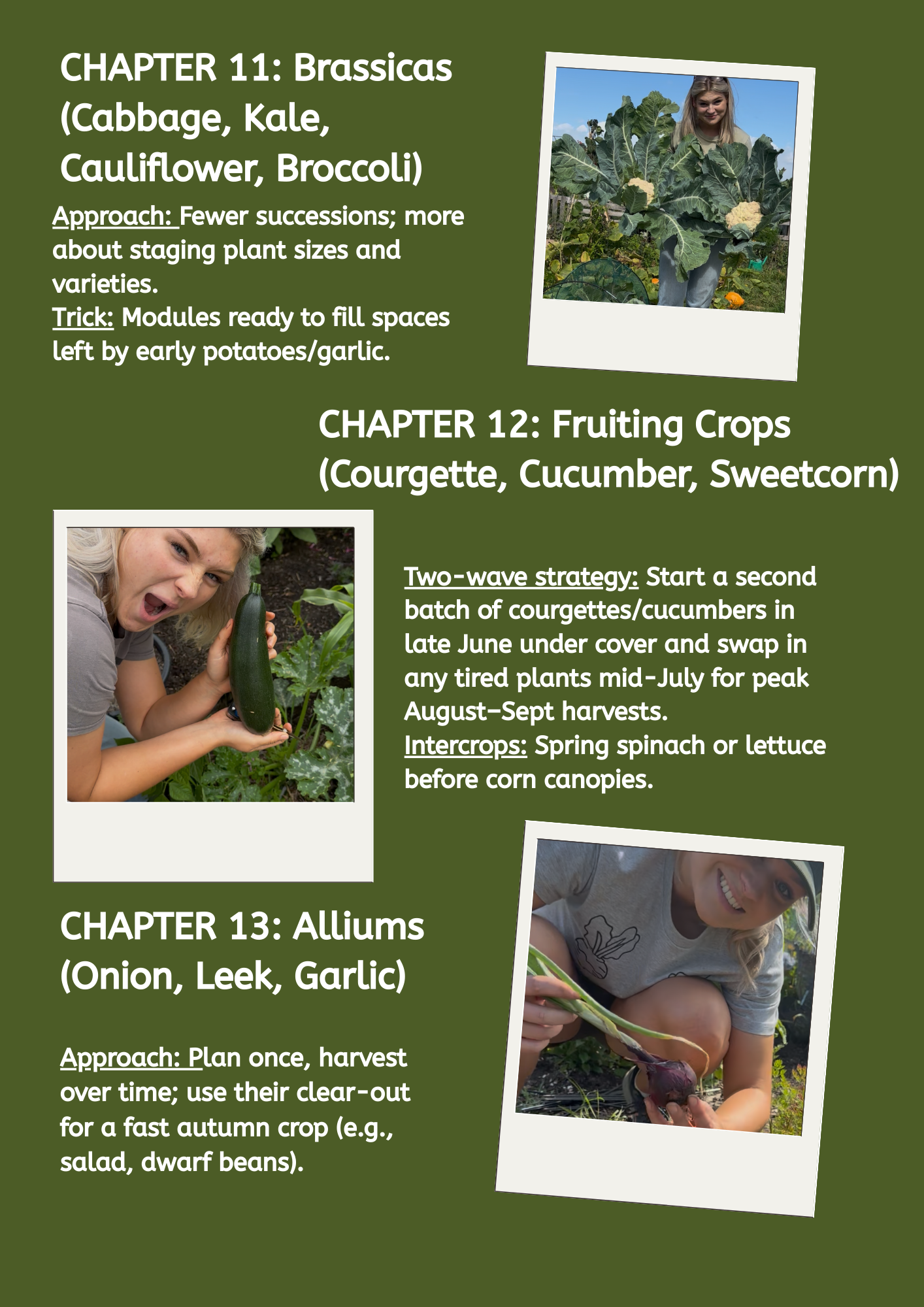 UK Veg Garden & Allotment Succession Planting Playbook - Digital Guide To Planning Multiple Sowings Across The Season PDF