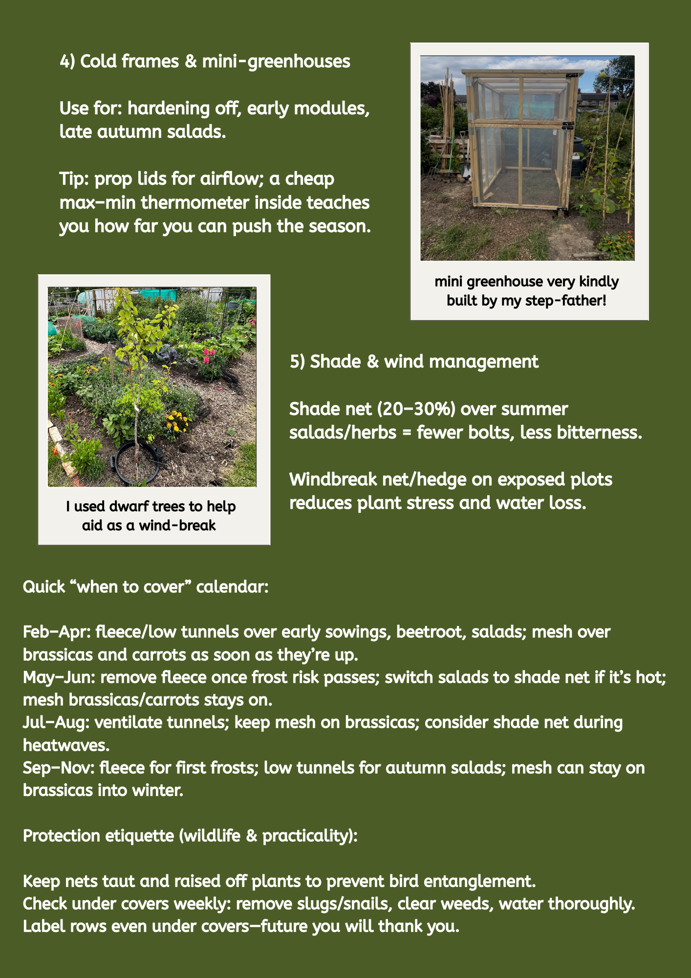 UK Veg Garden & Allotment Succession Planting Playbook - Digital Guide To Planning Multiple Sowings Across The Season PDF