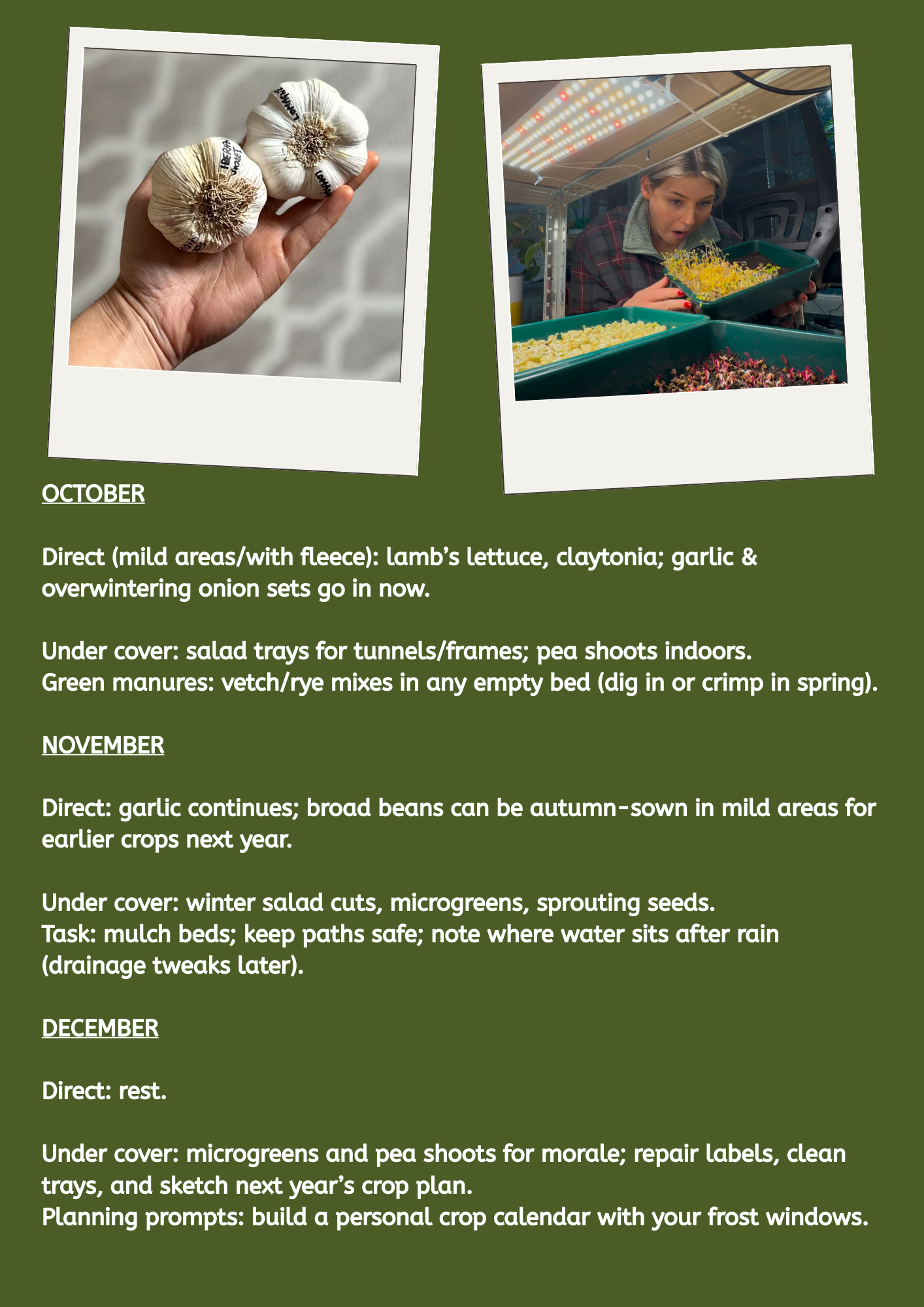 UK Veg Garden & Allotment Succession Planting Playbook - Digital Guide To Planning Multiple Sowings Across The Season PDF