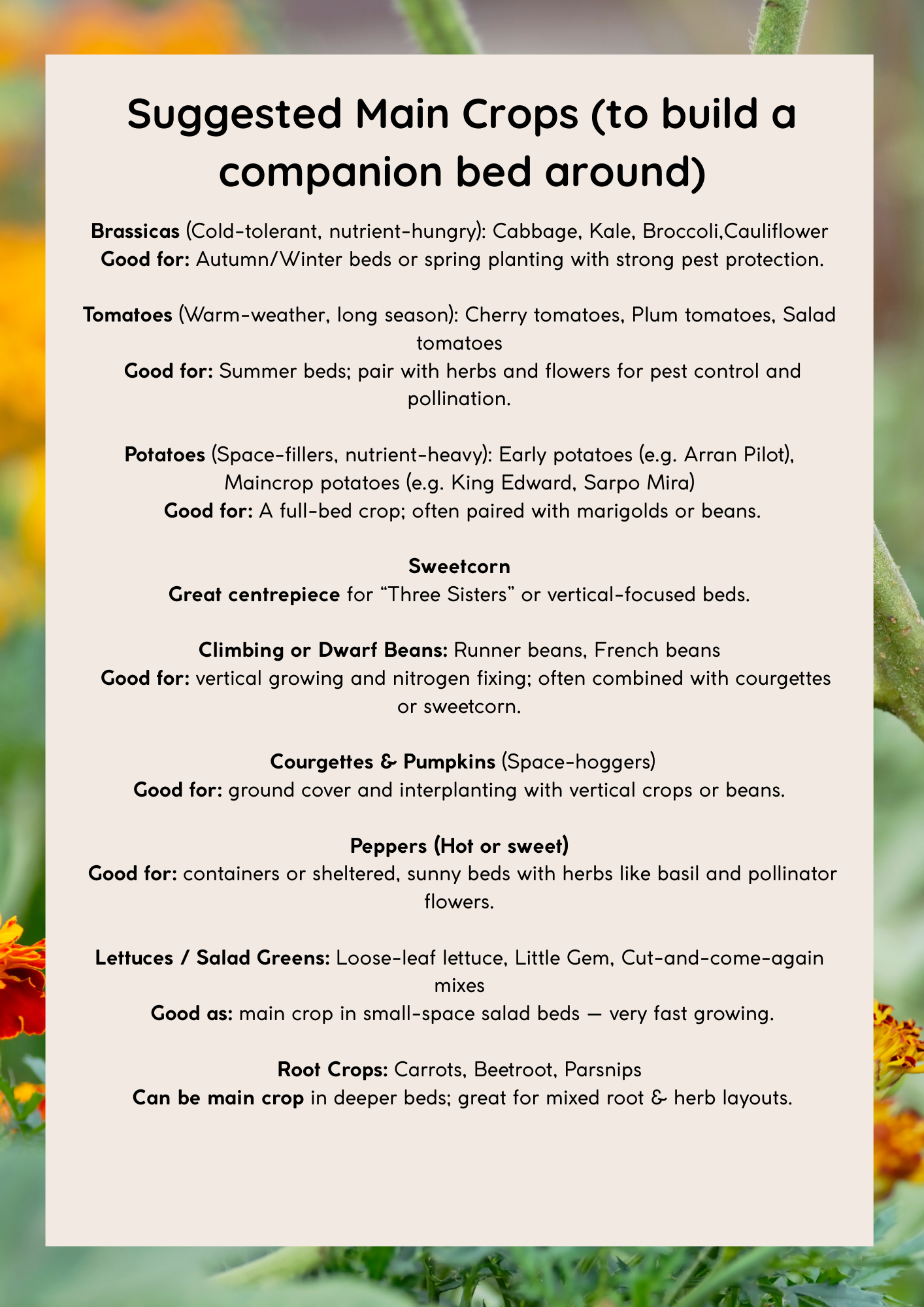 Companion Planting for Beginners – PDF Guide | WildlyChlo® UK Gardening - Which plants to pair together to maximise success