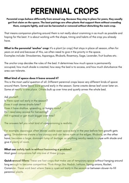BED LAYOUT TEMPLATES PDF Guide: Companion Planting UK | Plug-and-Play Vegetable Bed Plans for Raised Beds and Allotments