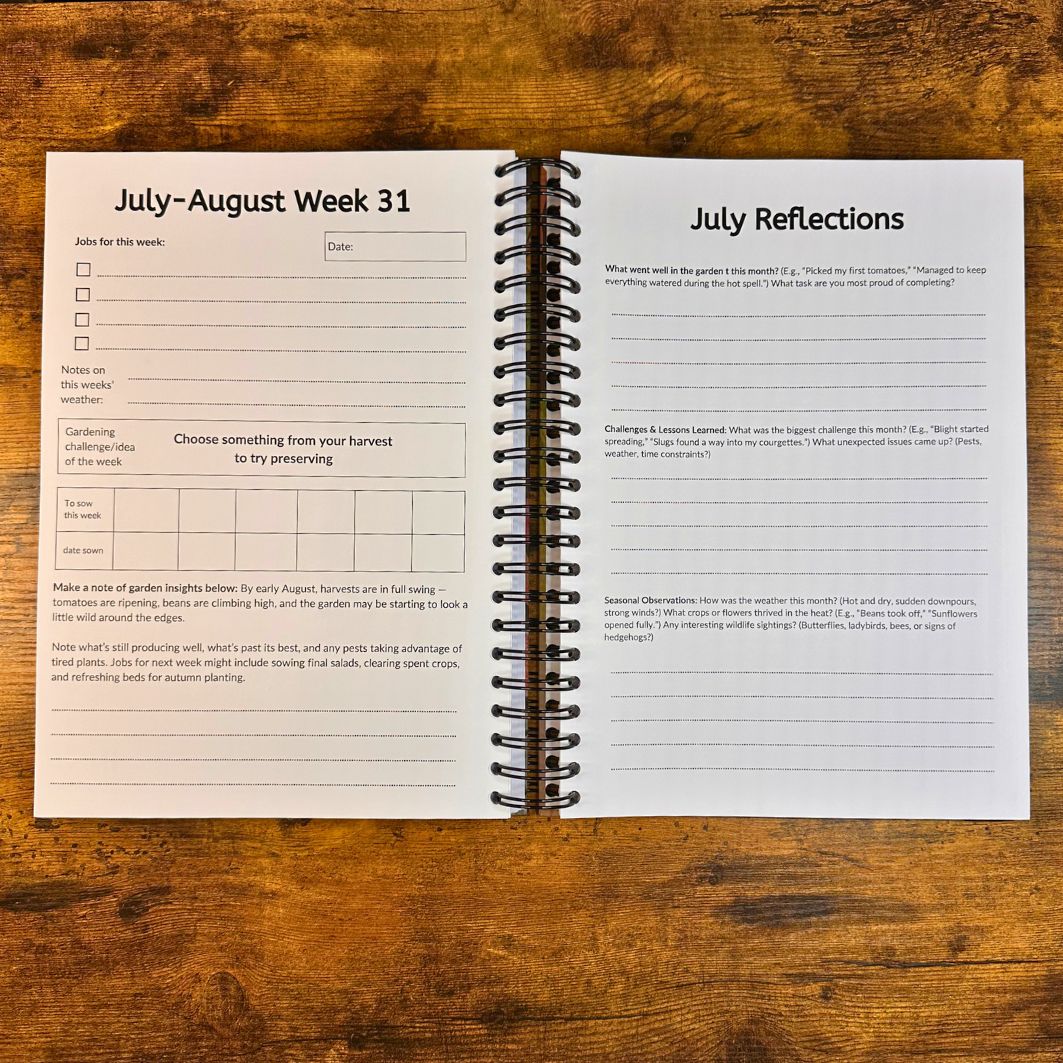 Open spiral-bound planner on a wooden surface with 'July-August Week 31' and 'July Reflections' sections.