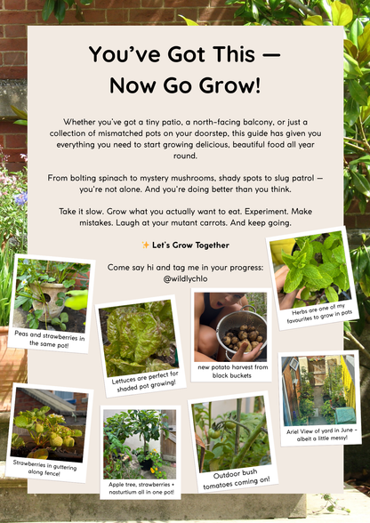examples of things you can grow in pots uk shaded coastal 