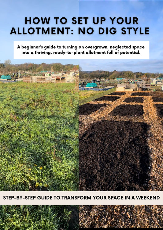 The No-Dig Allotment Blueprint: A Beginners Guide To Transforming An Overgrown Space into a Thriving Vegetable Plot