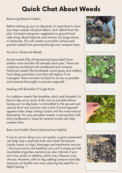 The No-Dig Allotment Blueprint: A Beginners PDF Guide To Transforming An Overgrown Space into a Thriving Vegetable Plot