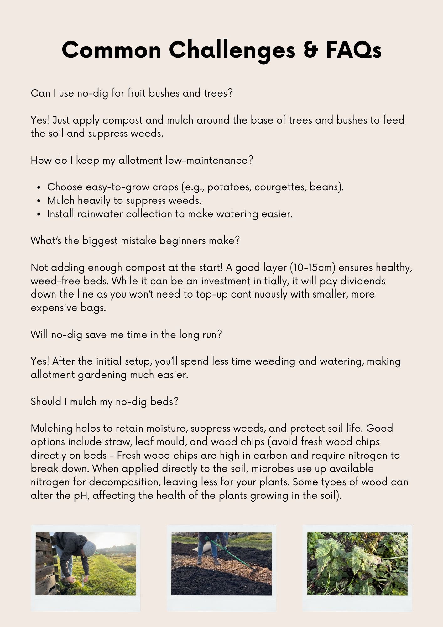 The No-Dig Allotment Blueprint: A Beginners PDF Guide To Transforming An Overgrown Space into a Thriving Vegetable Plot
