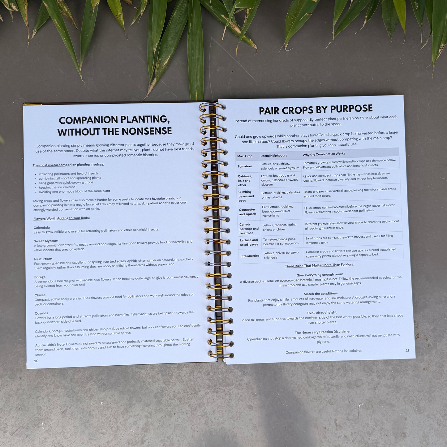 The 2027 UK Growing Planner (Hardback, Spiral-Bound)