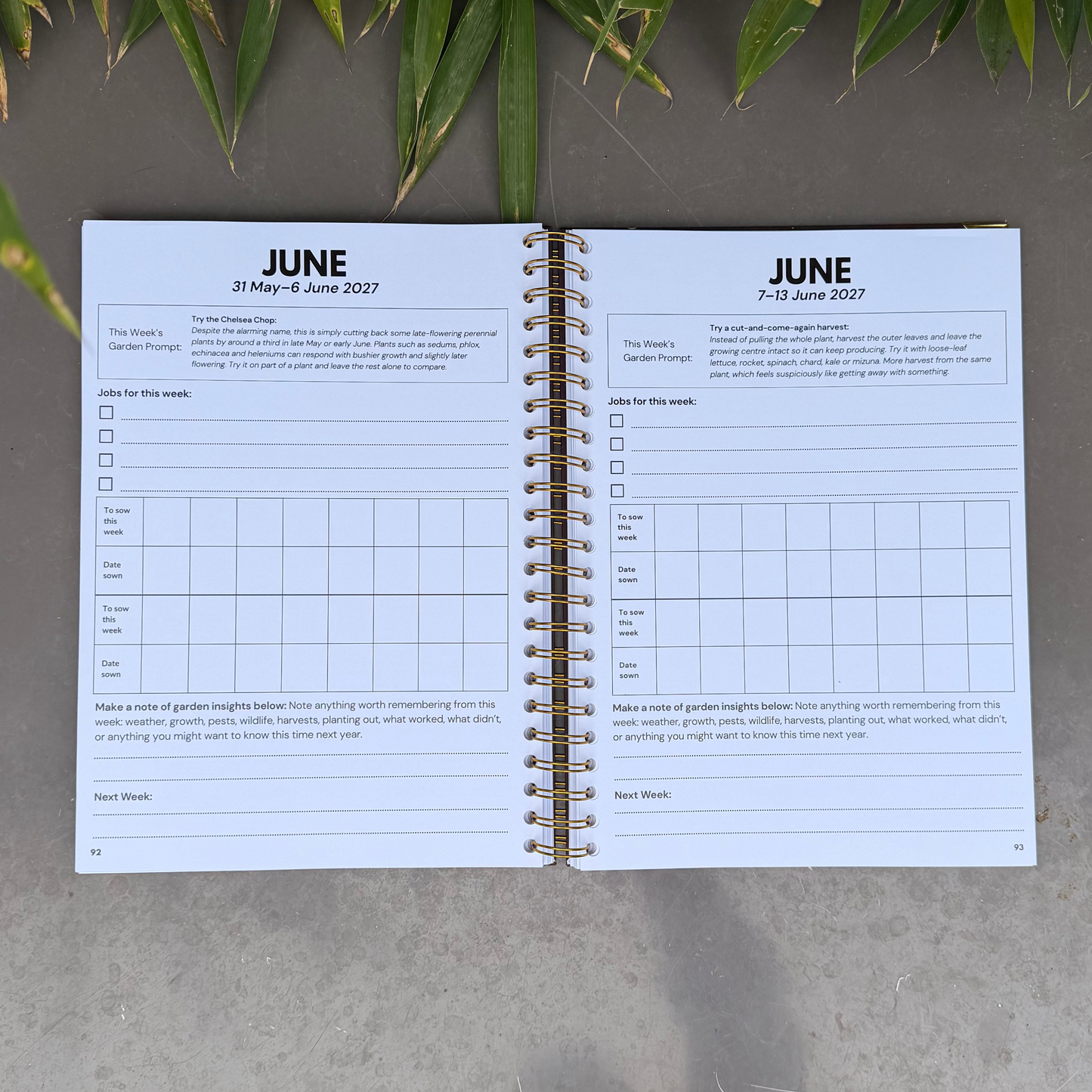 The 2027 UK Growing Planner (Hardback, Spiral-Bound)