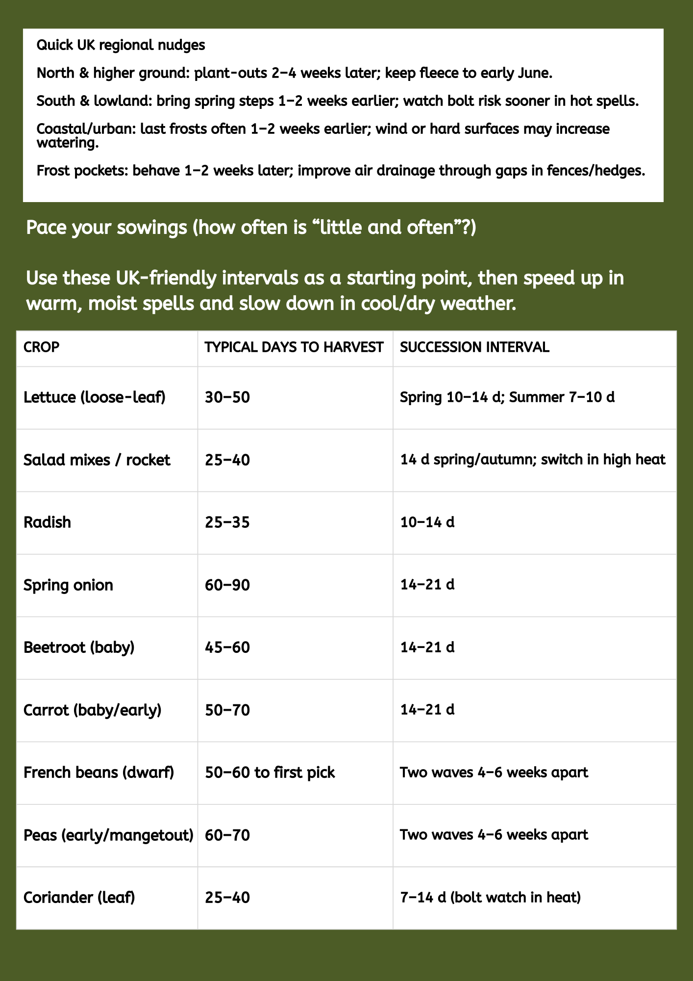 UK Veg Garden & Allotment Succession Planting Playbook - Digital Guide To Planning Multiple Sowings Across The Season PDF