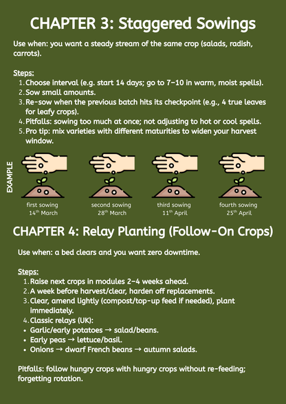 UK Veg Garden & Allotment Succession Planting Playbook - Digital Guide To Planning Multiple Sowings Across The Season PDF
