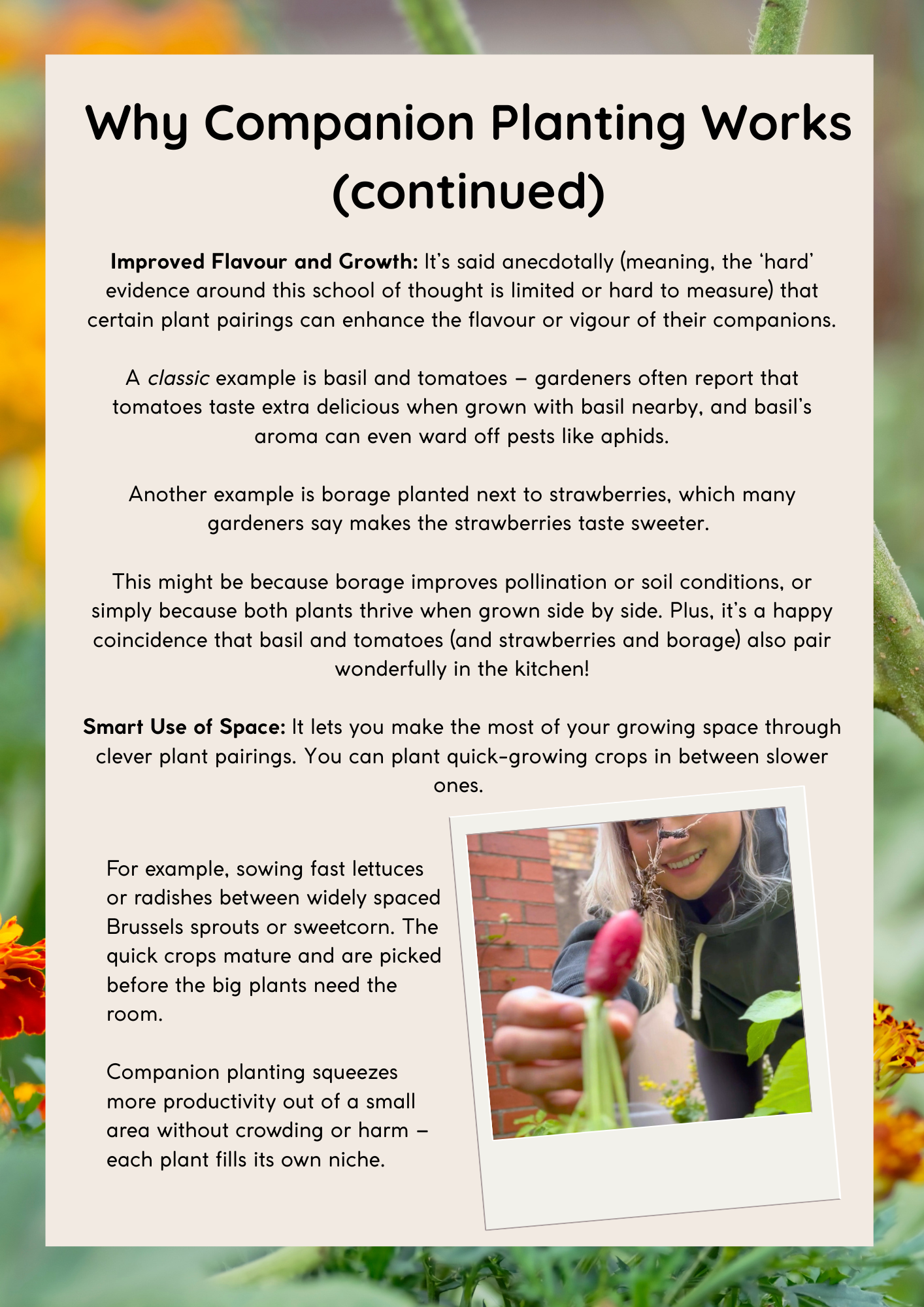 Companion Planting for Beginners – PDF Guide | WildlyChlo® UK Gardening - Which plants to pair together to maximise success
