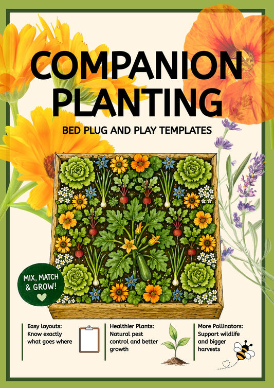 BED LAYOUT TEMPLATES PDF Guide: Companion Planting UK | Plug-and-Play Vegetable Bed Plans for Raised Beds and Allotments