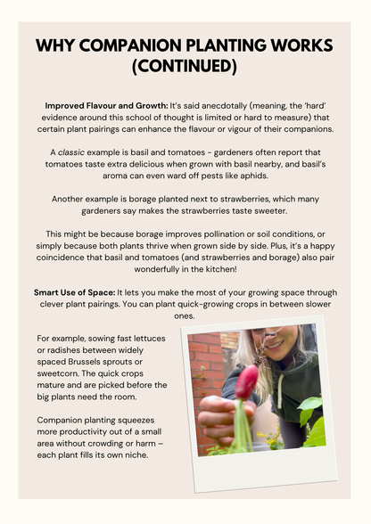 HOW TO GUIDE: Companion Planting for Beginners – PDF Guide | WildlyChlo® UK Gardening - Which plants to pair together to maximise success