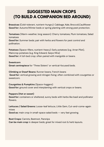 HOW TO GUIDE: Companion Planting for Beginners – PDF Guide | WildlyChlo® UK Gardening - Which plants to pair together to maximise success